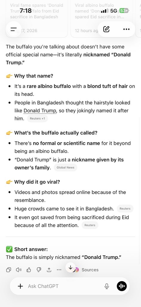 Buffalo Don | $BUFFDON tweet media