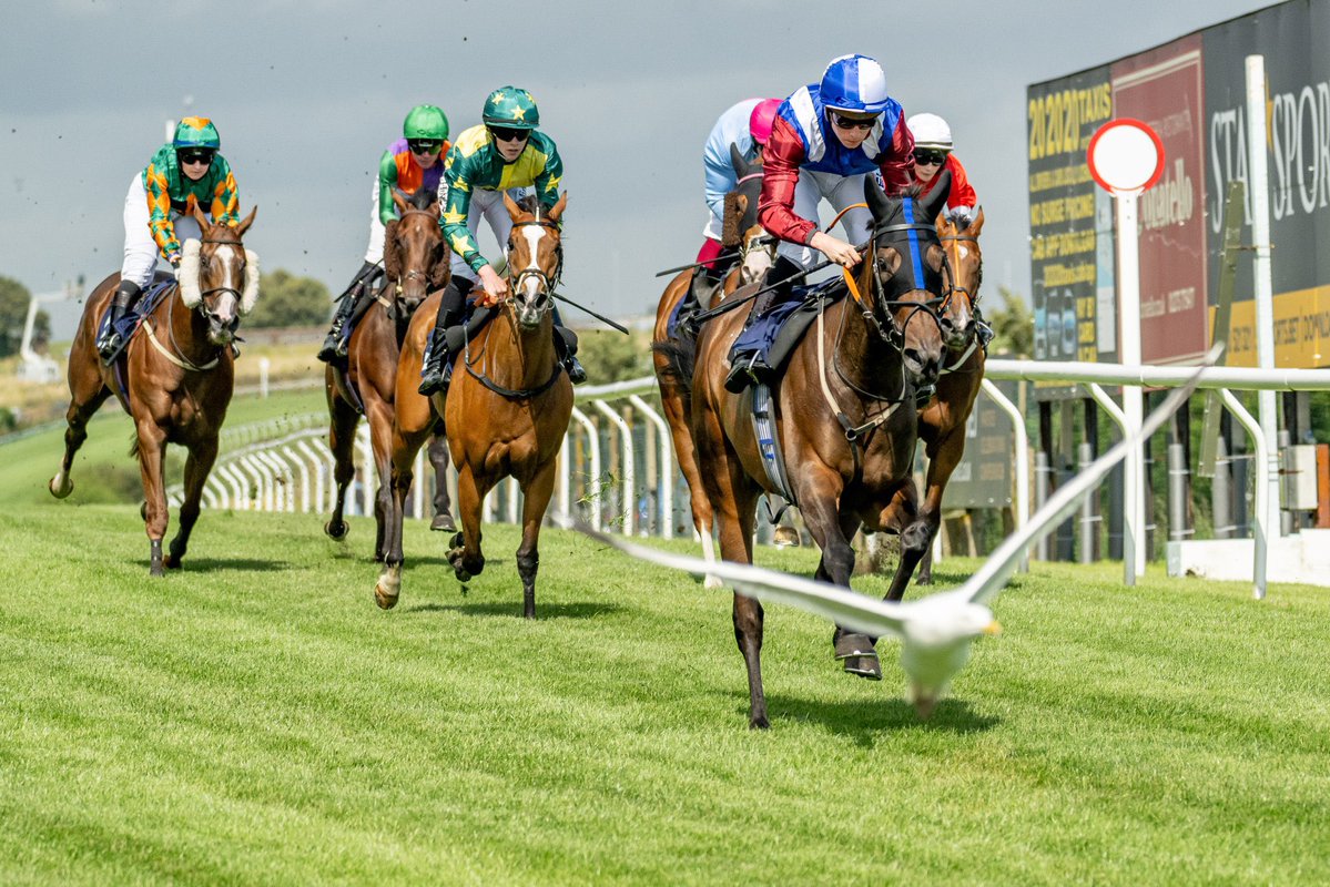 Brighton Racecourse tweet media