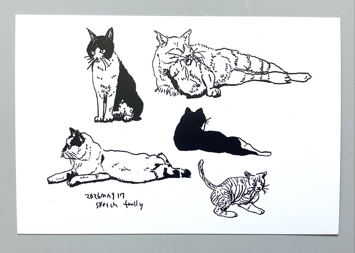 コミティア156 に持っていく新刊の猫スケッチ本です。 A6横サイズ/本文