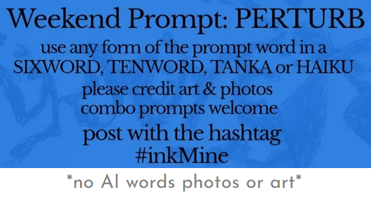ilinkcs's tweet photo. anxiety grows,
a perturbation of crows
cawing around my
wife
…
#poem #poetry #Weekend #perturb #inkMine #tenword
@InkMineStories https://t.co/TuyIxZeAbx