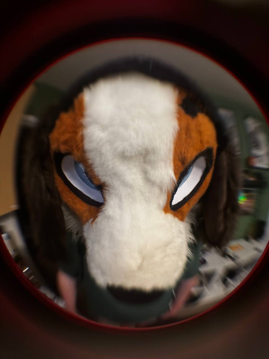 BeanThePunk's tweet photo. Can I come in please UwU 
.
#fursuit #fursuiter #furry #furrymeme https://t.co/HOpSFoFCOt