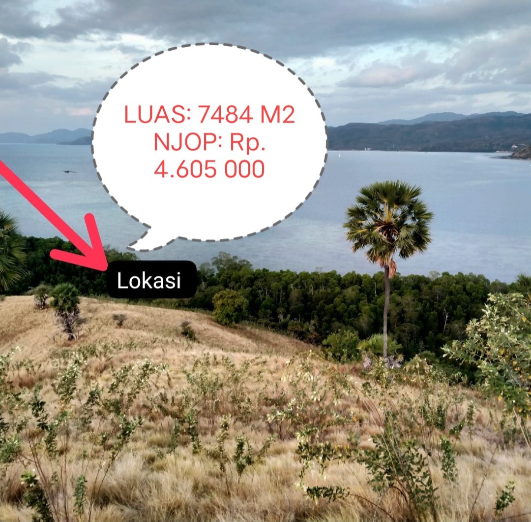 ProfylHenuk's tweet photo. PROF. YUSUF L.HENUK,Ph.D Dari UNSTAR ROTE Dapat KUASA  Untuk Promosi TANAH  Siap DIJUAL Terletak. di Lokasi Strategis di Jl.FRANS SALES LEGA No. 1 LABUHAN BAJO, MANGGARAI BARAT ("BALI II") Seluas 7484 M2 dengan Harga NJOP:Rp. 4.605.000&amp;Harga Bisa Dinegosiasi Dengan Pemilik Tanah. https://t.co/oksM68jr33