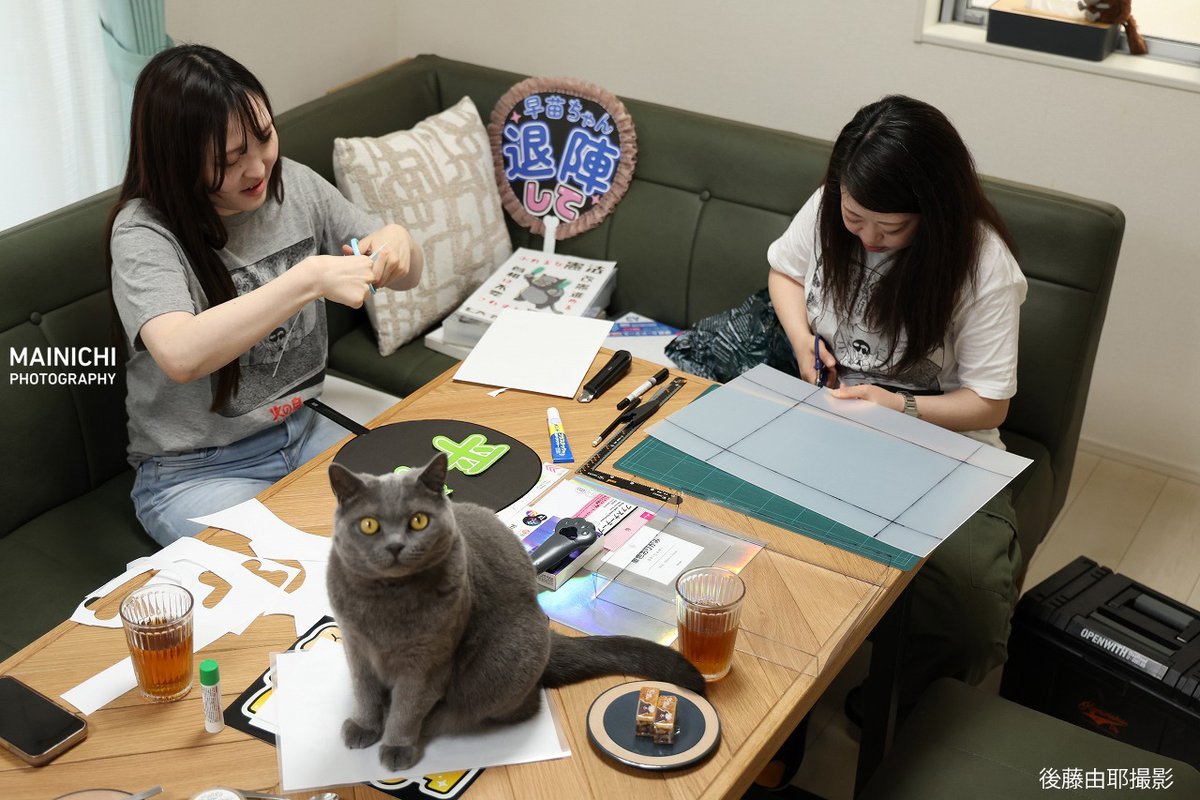 毎日新聞写真部 tweet media