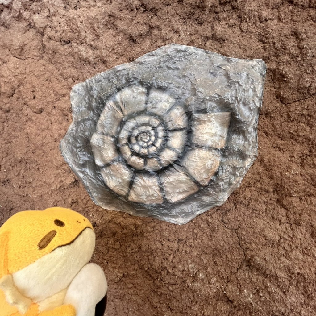 ポケモンの化石ゲットだぜ！ ポケモン化石博物館はシカゴで開催中