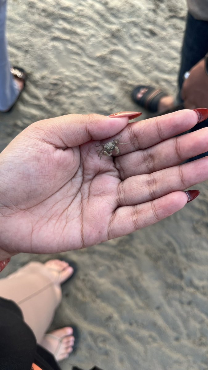 raceven's tweet photo. 🦀 https://t.co/7GiIn8EnAQ