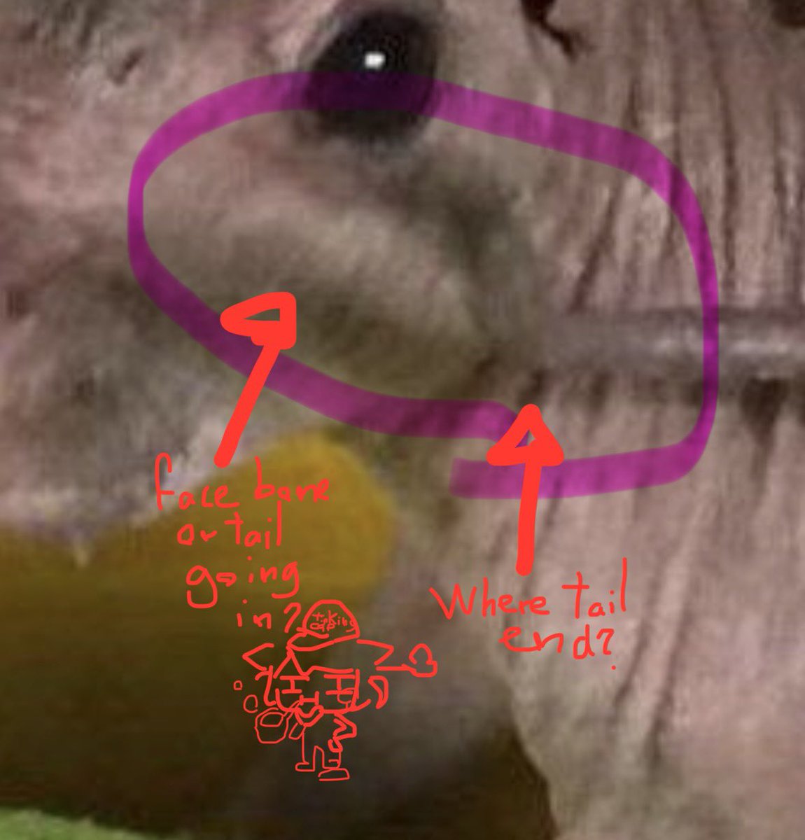 Bochi_VT's tweet photo. @schuridae I mean the evidence is evidencing https://t.co/xep2JlEKNj