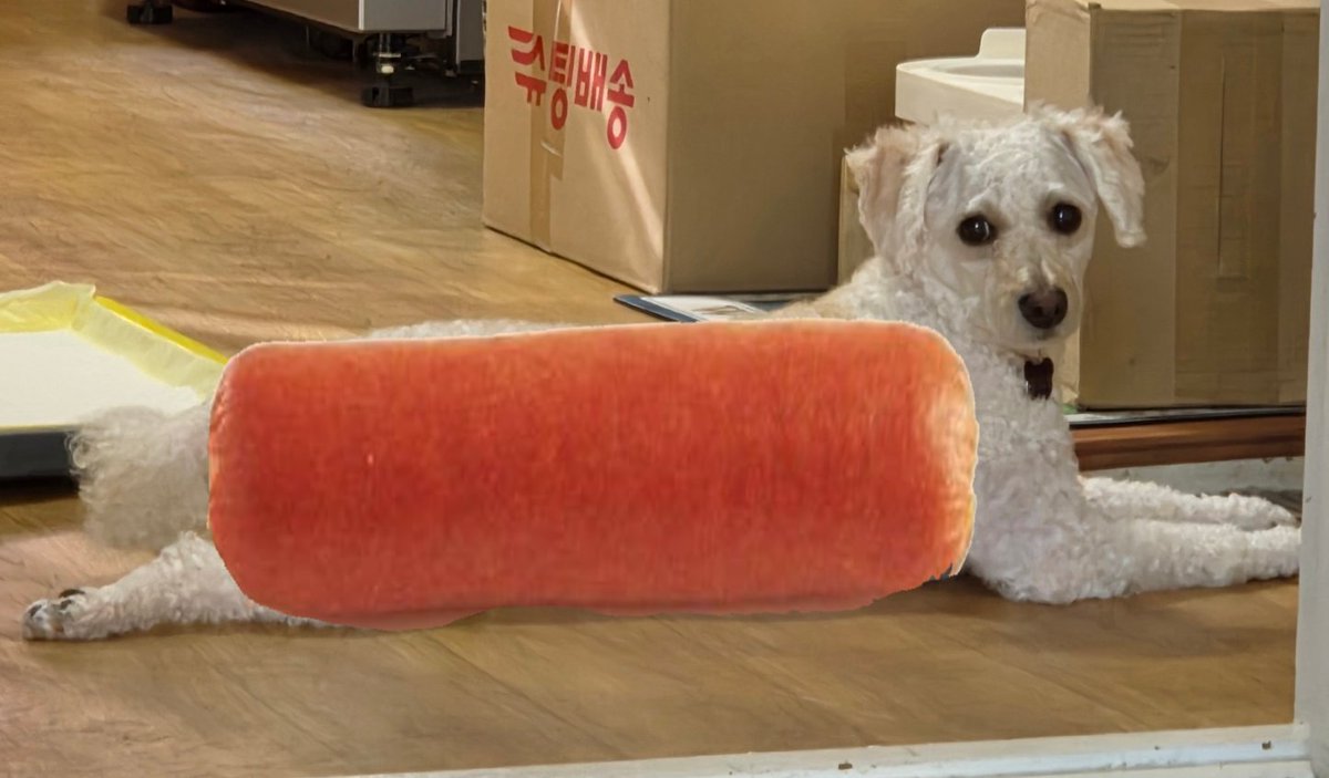 GAAY_da's tweet photo. 이소세지뭐야 https://t.co/RYtoRlA9st