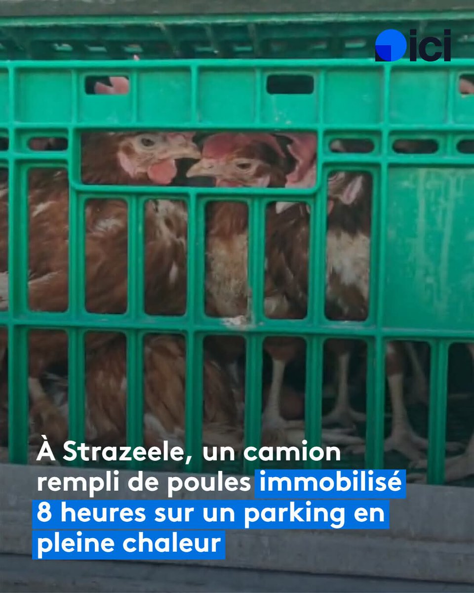 🎀🇨🇵Pam Ⓜ️💝💙🤍❤️🙏 tweet media