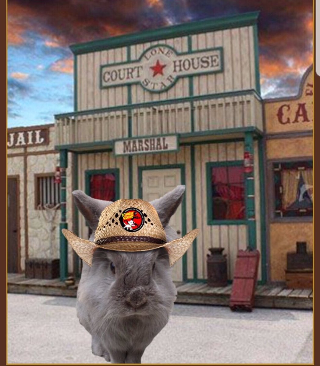 Rosie_fluffybun's tweet photo. @ZombieSquadHQ Me iz ready fur #zswesternmonth #zshq goin b a grayt monf, az a buntastic day all my wuverly fellow sqwaddies 💗🐰💗 https://t.co/R0vlXpxlti