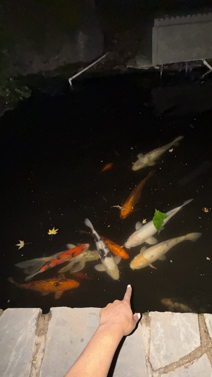 zaynahbear's tweet photo. I’m drunk and pretending that I can summon fish https://t.co/d8jtOEDPsB