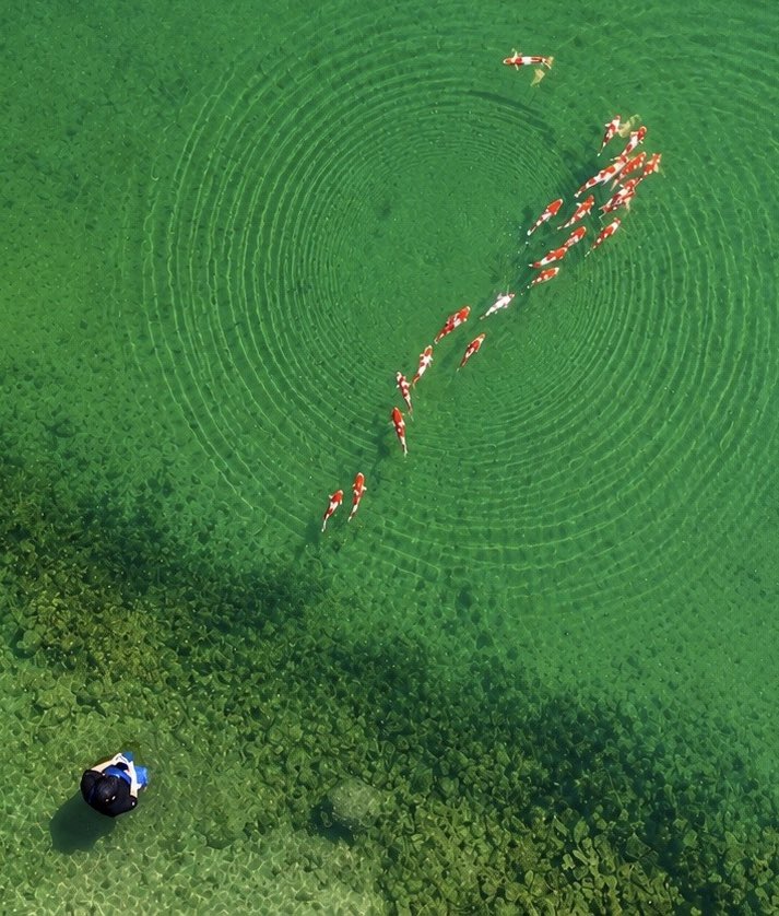 Waddy1's tweet photo. Getting good at this drone shit https://t.co/BRNIrIdHjE