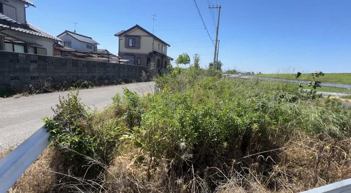 ashianimals's tweet photo. あにまるずの畑が大変な事になってたから
やってやったぜ🫡
これでみんなで畑できる https://t.co/OnafhXFRly