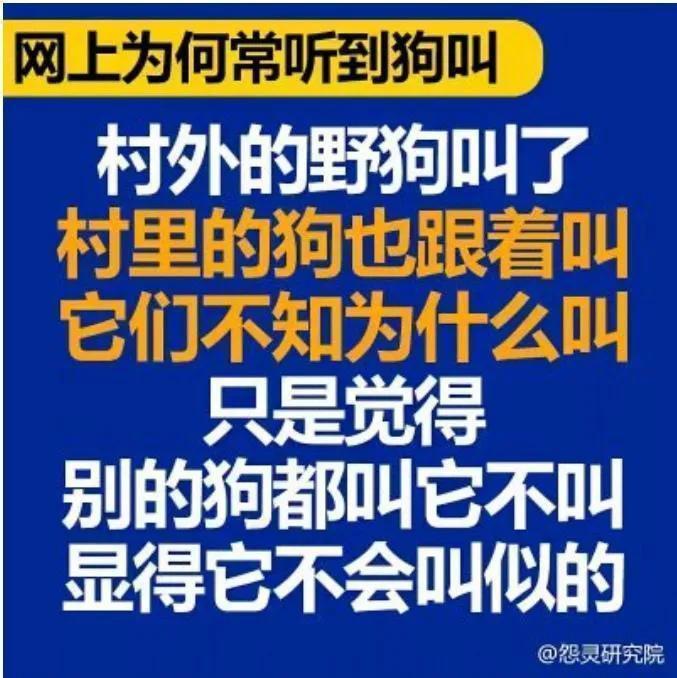 kk9547's tweet photo. @livermoerR 给林北把专利证书拿出来，快点！！！ https://t.co/Gks7DWB8Sp