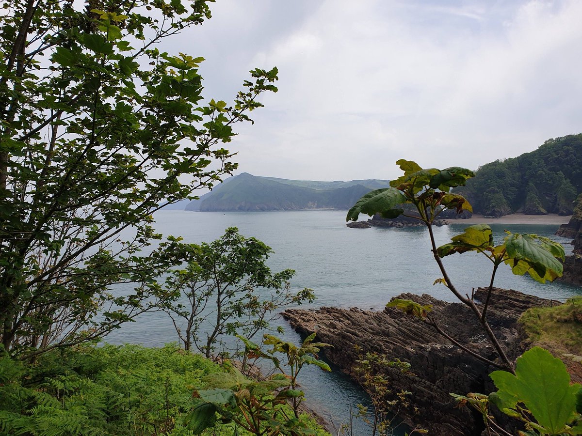 DodoHeather's tweet photo. Two wedding Thursday. Gorgeous views from both venues and and a more manageable temperature. Pretty chilled day tbh. #weddingregistrar #northdevon https://t.co/RyLVj0MTtu