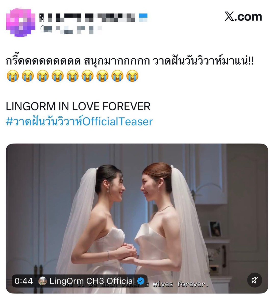 UPDATE TODAY tweet media