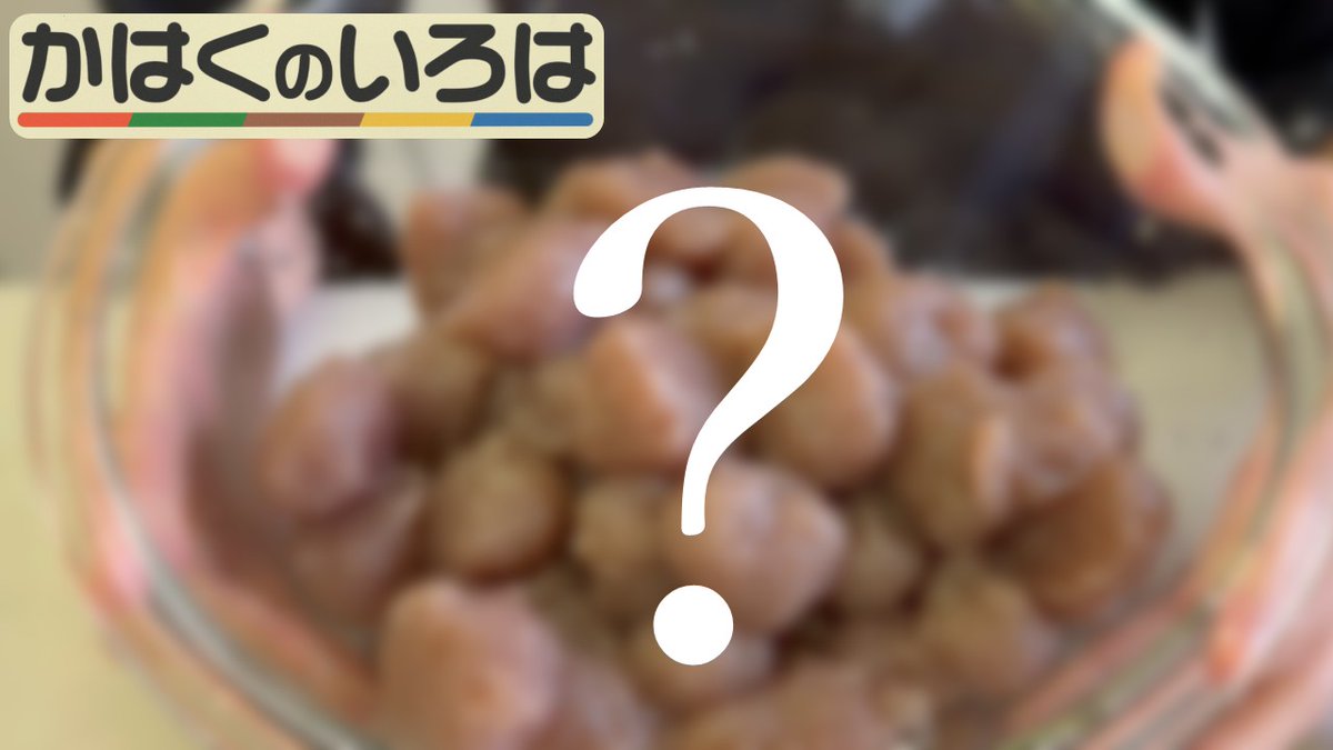 museum_kahaku's tweet photo. また、YouTube #かはくチャンネル「かはくのいろは」では、
日本で初めて、#ショクダ��オオコンニャク からコンニャクを作る実験を行いました💫

気になる結果は…？ぜひ動画でご確認ください👇
https://t.co/G7C31LY6VP https://t.co/ogT1enr9P3