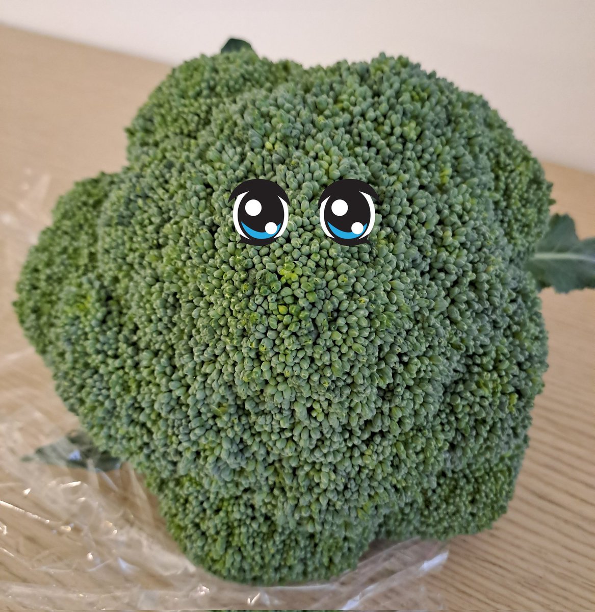 Broccolis, I'm sorry for disappearing on you all but my account had to ...