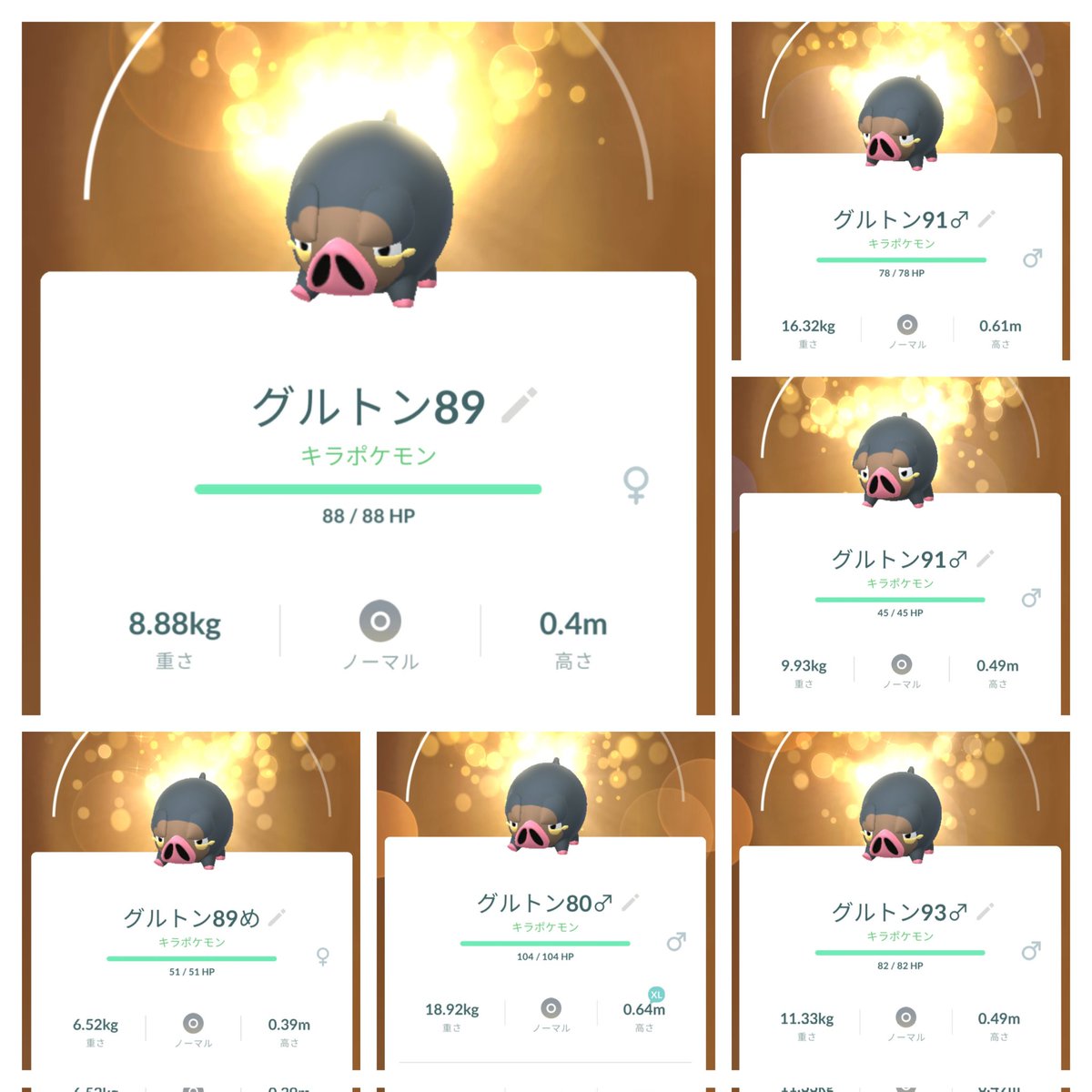 ANH10WポケGO愛知 tweet media