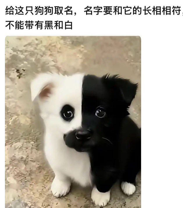 翅翅膀喵 tweet media