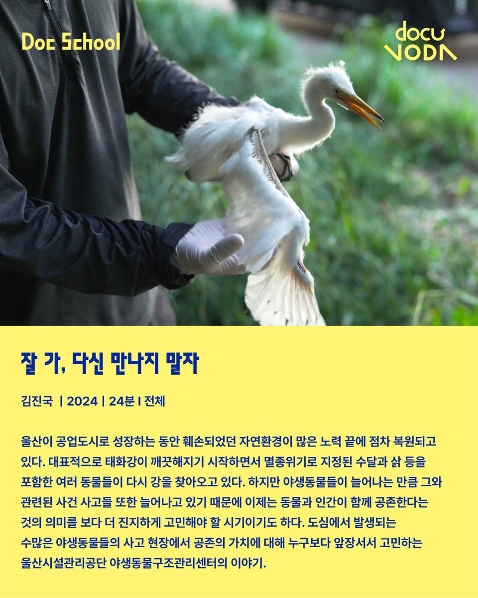 DMZDocs's tweet photo. https://t.co/NQcxhde88b