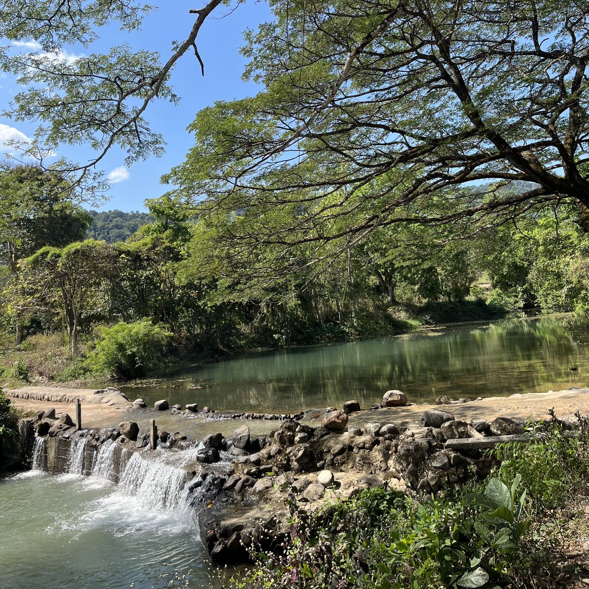 sfkkfs_'s tweet photo. ถ้าอยากเที่ยวธรรมชาติ ใกล้กทม. มีกิจกรรมสนุกๆทำ แนะนำนครนายก 🌳☀️ ธรรมชาติสวยทุกที่ สีเขียวเยอะสบายตา เดินเขาช่องลม เหนื่อยหน่อยแต่สวยจริง มีน้ำตกให้เล่น ล่องแก่ง ขับ ATV ก็สนุก ครบจบมากๆ https://t.co/MqtoDug4bM