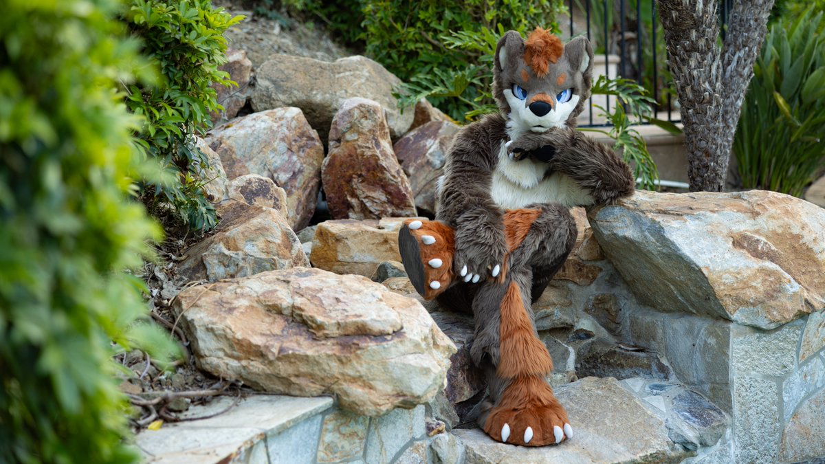 KazanIsFatzan's tweet photo. I went to a pool party for a friend's birthday last weekend and got some really nice poolside otter pics! It was a liiittle sketchy climbing over the rocks into that decommissioned waterfall area though. I only *almost* fell in...

🪡: @99Daley 
📸: @CroctheOtter 
#FursuitFriday https://t.co/eFGmaQxEHE