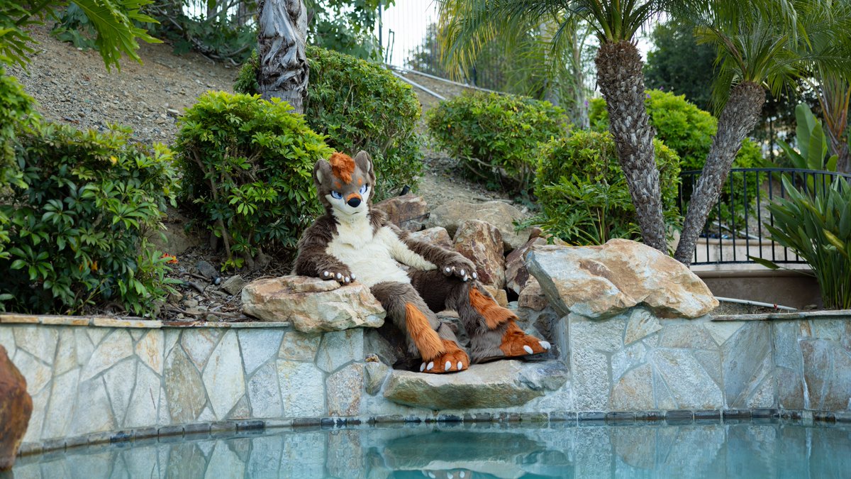 KazanIsFatzan's tweet photo. I went to a pool party for a friend's birthday last weekend and got some really nice poolside otter pics! It was a liiittle sketchy climbing over the rocks into that decommissioned waterfall area though. I only *almost* fell in...

🪡: @99Daley 
📸: @CroctheOtter 
#FursuitFriday https://t.co/eFGmaQxEHE
