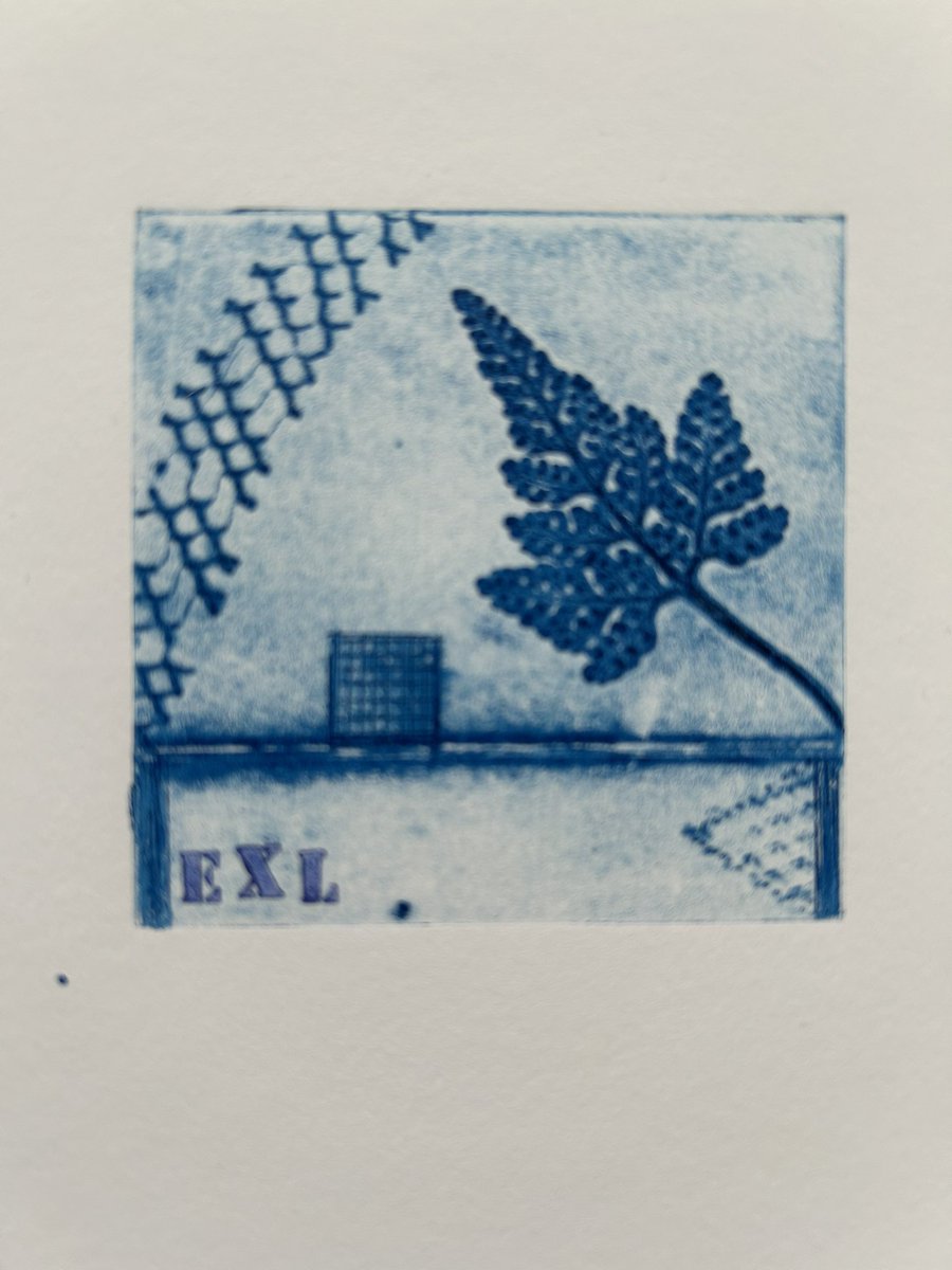 ShinobuARTPRINT's tweet photo. ▪️Exlibrisミニ版画
▪️Atelier Olive銀座ひとつぼギャラリー
▪️2026.5.25-30
@AOlive_ginza  
沢山の小さな版画作品をお楽しみ頂ければ嬉しいです
#exliblis #蔵書票 #ミニ版画 #art #紙版画 #kamihanga #しのぶ草 https://t.co/W0z3paQvCe