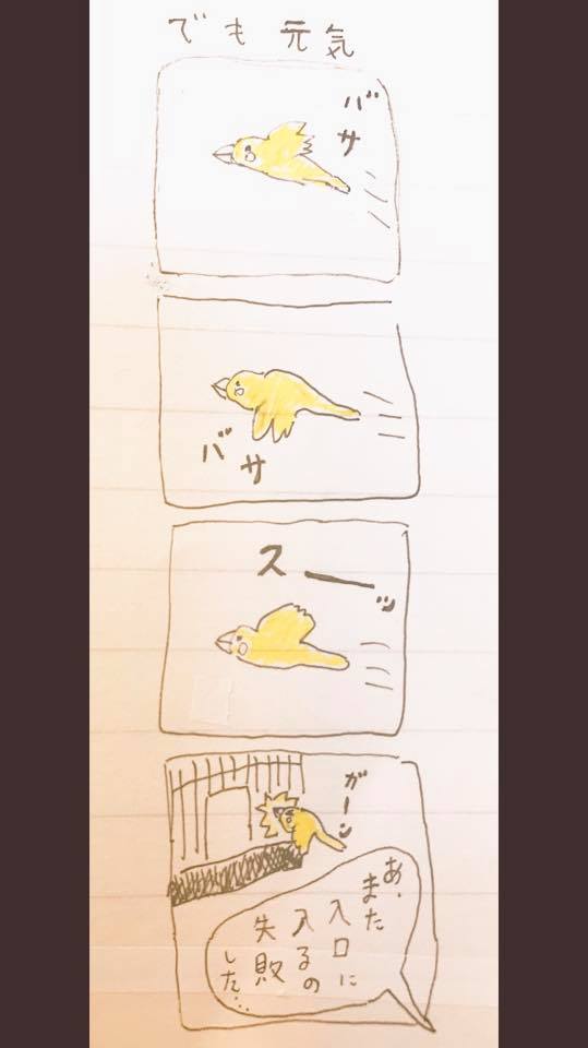 8年前(1) 