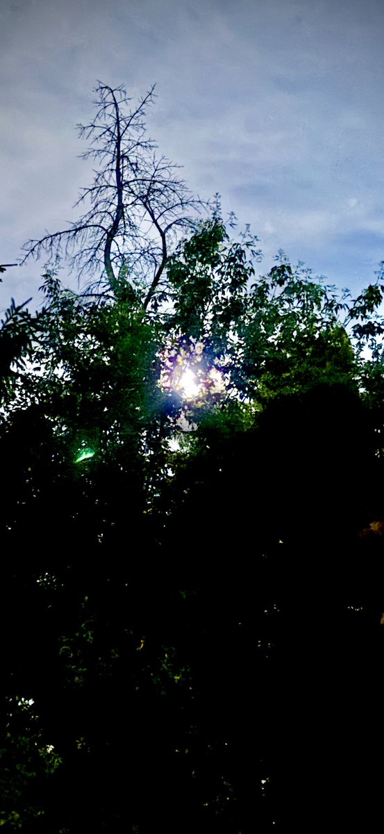 BataviaHillRod's tweet photo. Ooh, cool moon tonight https://t.co/0iOrx09IRG
