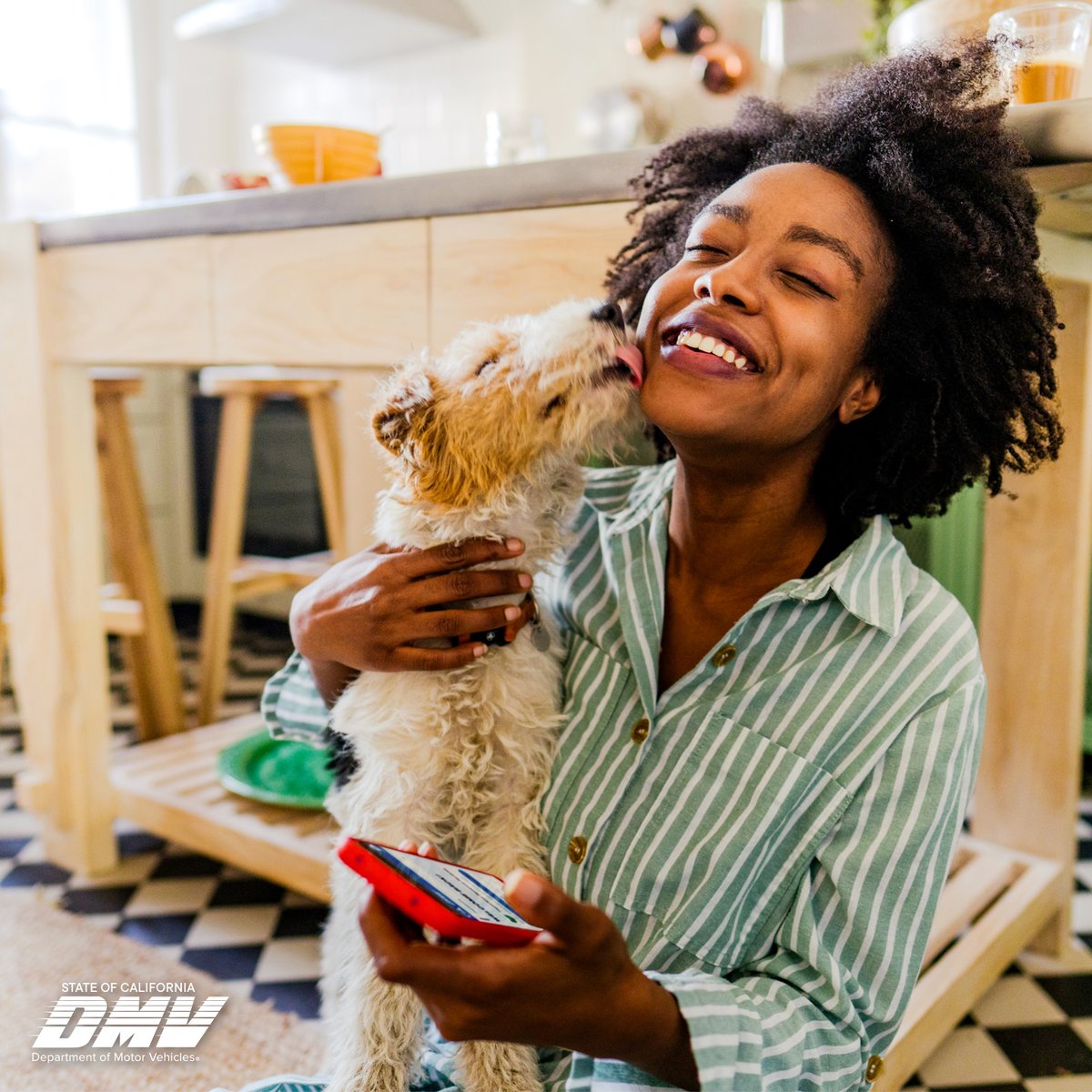 CA_DMV's tweet photo. You have better things to do than sort through mail.

When you switch to paperless renewal notices for your vehicle registration, you can renew in just a few clicks, without ever opening an envelope.

#GoOnline at https://t.co/5GMrJnTD8g https://t.co/ZtNnYlzrZY