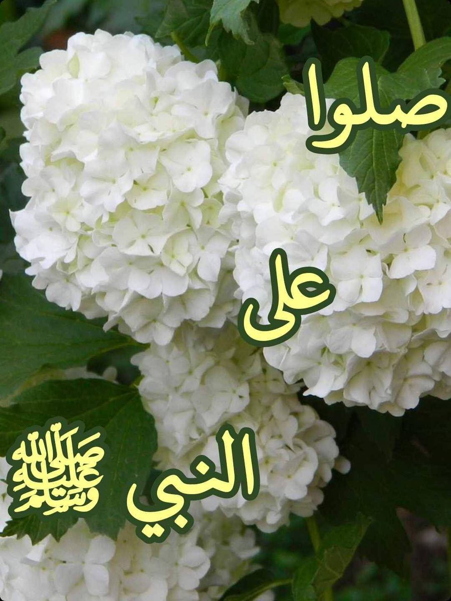 betaqaislamia's tweet photo. قال رسول الله صلى الله عليه وسلم (إن من أفضلِ أيامِكم يومُ الجمُعةِ، فيه خُلِقَ آدمُ وفيه قُبضَ وفيه النَّفخةُ وفيه الصَّعقةُ فأكثِروا عليَّ من الصلاةِ فيه فإنَّ صلاتَكم معروضةٌ عليَّ) https://t.co/Mc603ABtv0