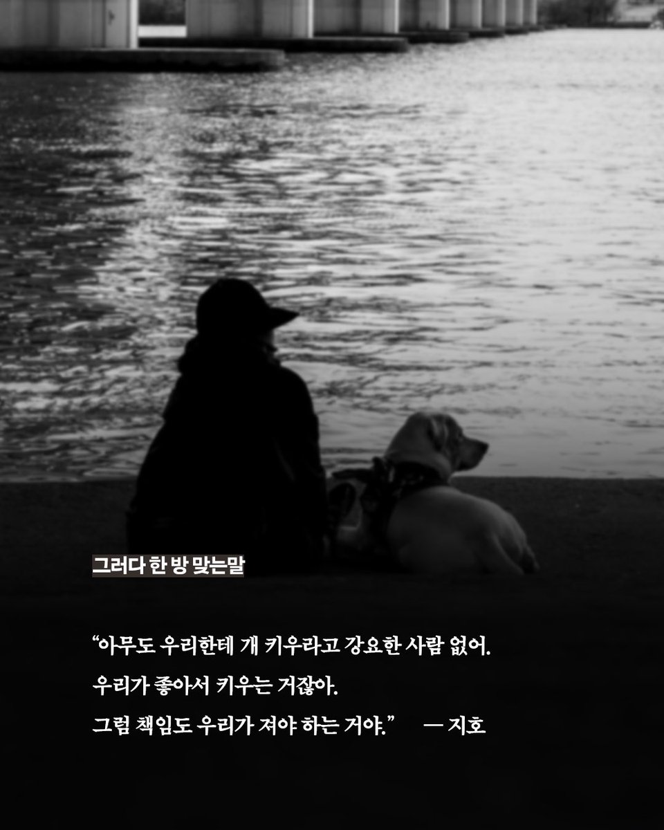 minumsa_books's tweet photo. 갑산 공원에서 개를 산책시키며 만난 세 여자.
나이도, 성격도, 살아온 시간도 다르지만 ‘개를 키운다’는 공통점 하나로 가까워집니다.

이들의 평화로운 산책은 어느 날 개 목줄에 목이 졸린 남자가 발견되며 산산조각 나고, 충격이 가시기도 전에 세 사람을 겨냥한 정체불명의 위협까지 시작됩니다. https://t.co/MK6TfxtOqp