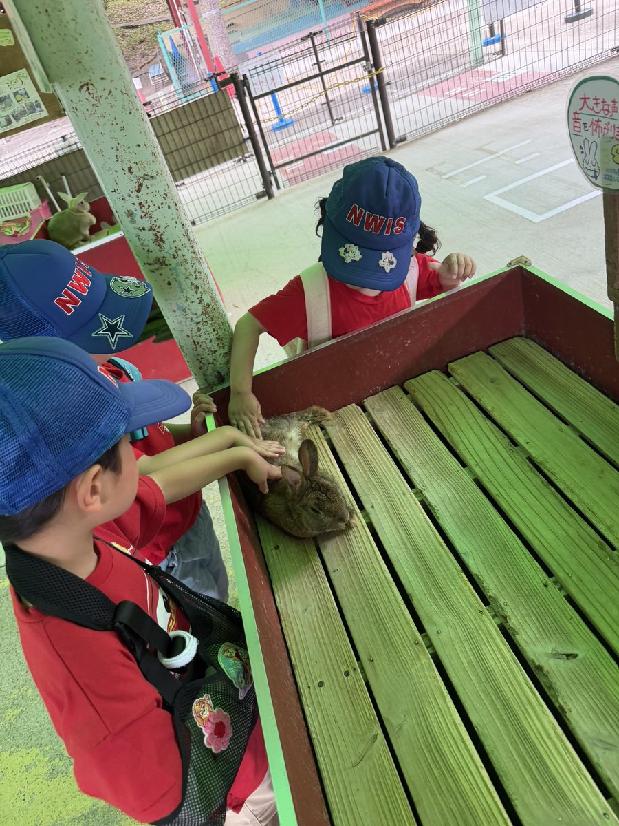 nwisjp's tweet photo. Petting Zoo https://t.co/B3CAGBJtJm