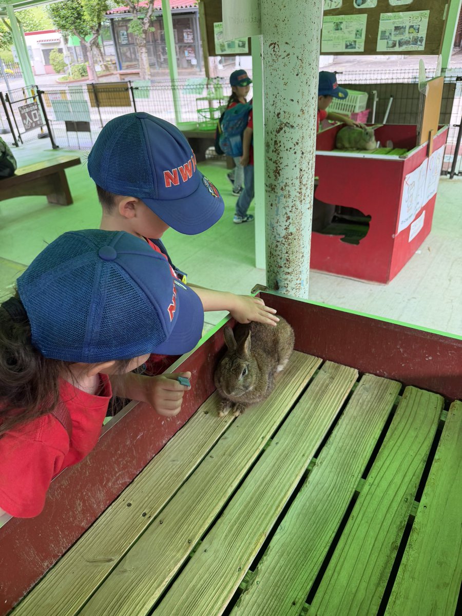 nwisjp's tweet photo. Petting Zoo https://t.co/B3CAGBJtJm