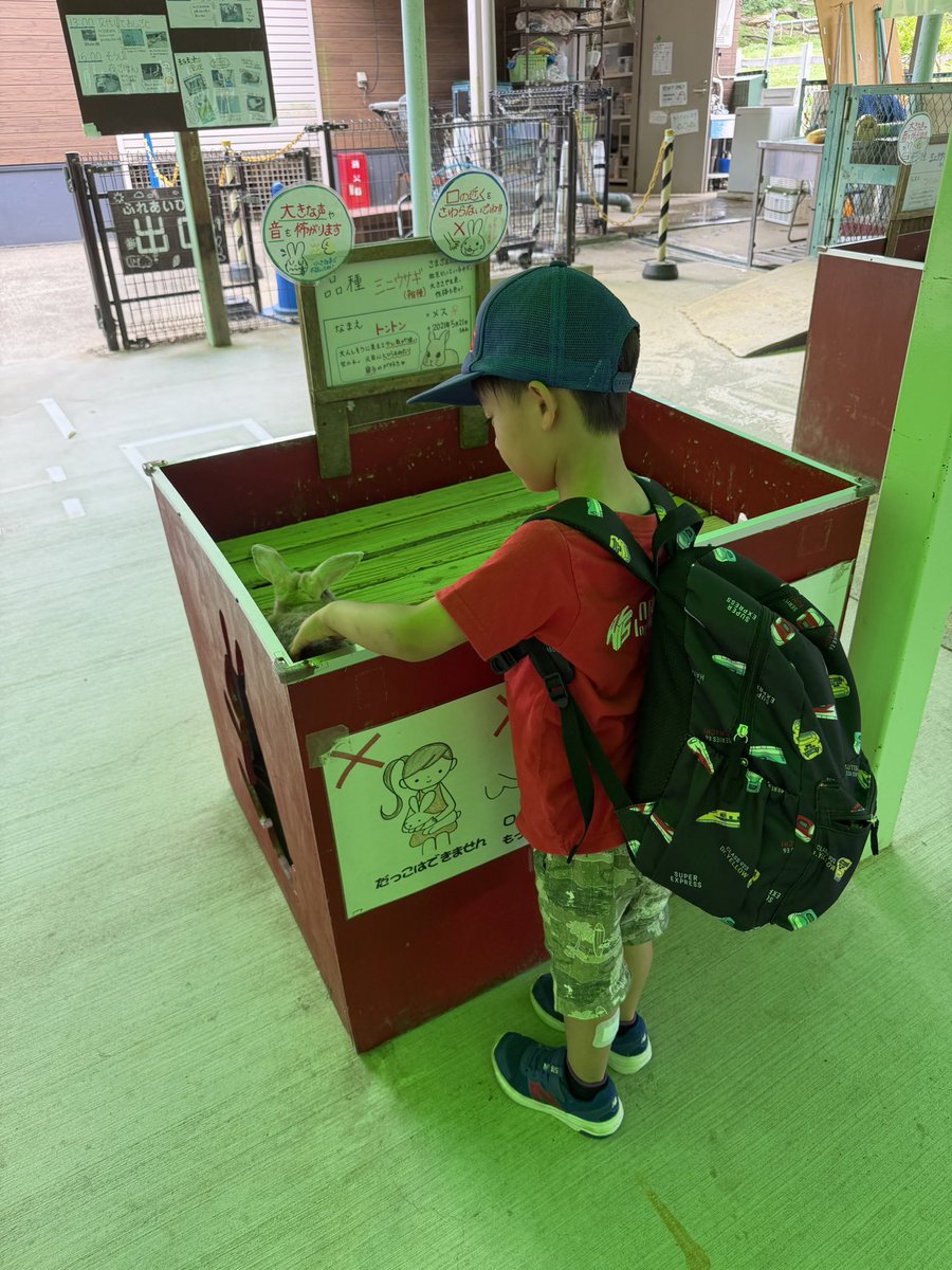 nwisjp's tweet photo. Petting Zoo https://t.co/B3CAGBJtJm