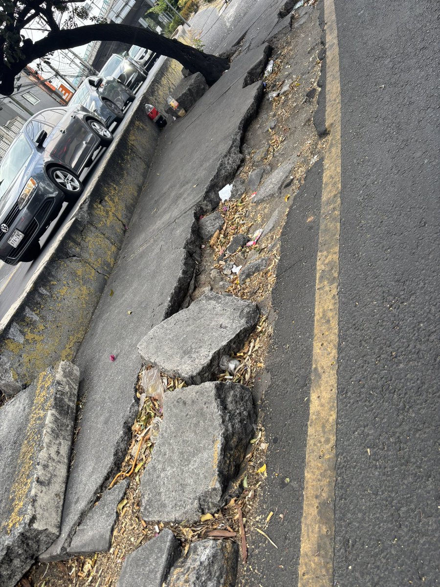 gfabianmedina's tweet photo. 🔴 @LopezCasarinJ vive en una realidad paralela. La @AlcaldiaAO está peor que NUNCA, es un muladar , un cochinero; corrupción, basura, banquetas destrozadas, miles y miles de baches, luminarias fundidas  y mil etcétera 👇 https://t.co/3Ax1PtL1WU