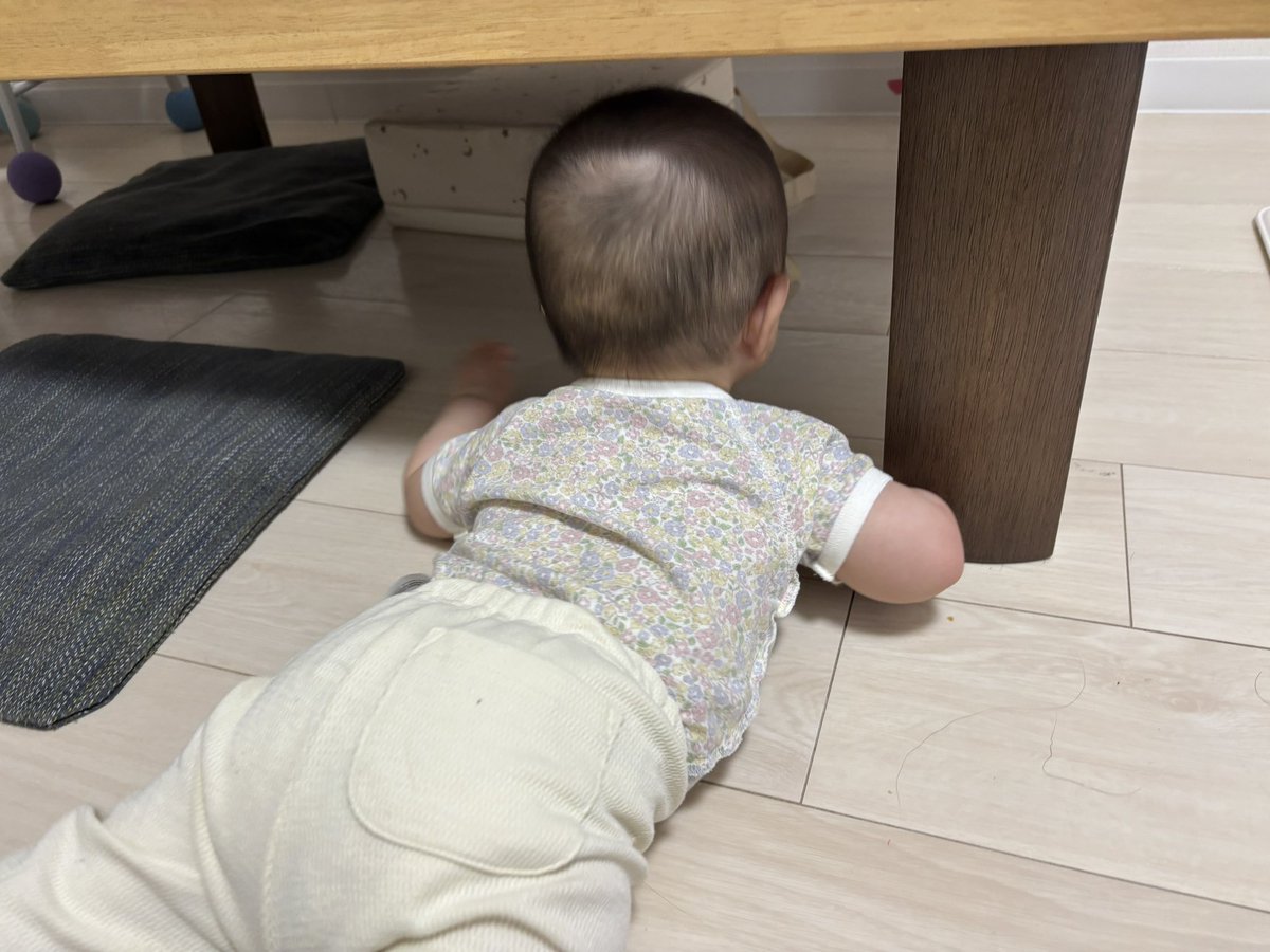 ma_char's tweet photo. もー！どこまでも動き回る！
どうやってこんなに移動してるのか…
最近は机の下にもぐってひとりで遊んでる。
そして頭打ってわーん😫です。 https://t.co/qHAdgFqL5l