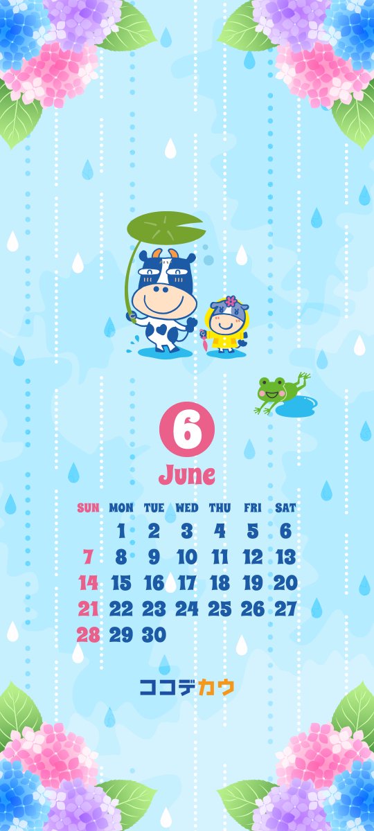 cocodecow's tweet photo. 🐮＜6月のカレンダーができたよ⭐
保存してスマホの壁紙に使ってね！

⚽️サッカーで盛り上がろう！ver
☔️雨の日も楽しんじゃおうver
🤠父の日だね！カウもんのパパver

#ココデカウ #6月壁紙カレンダー #壁紙カレンダー https://t.co/XZHJ29jNTk