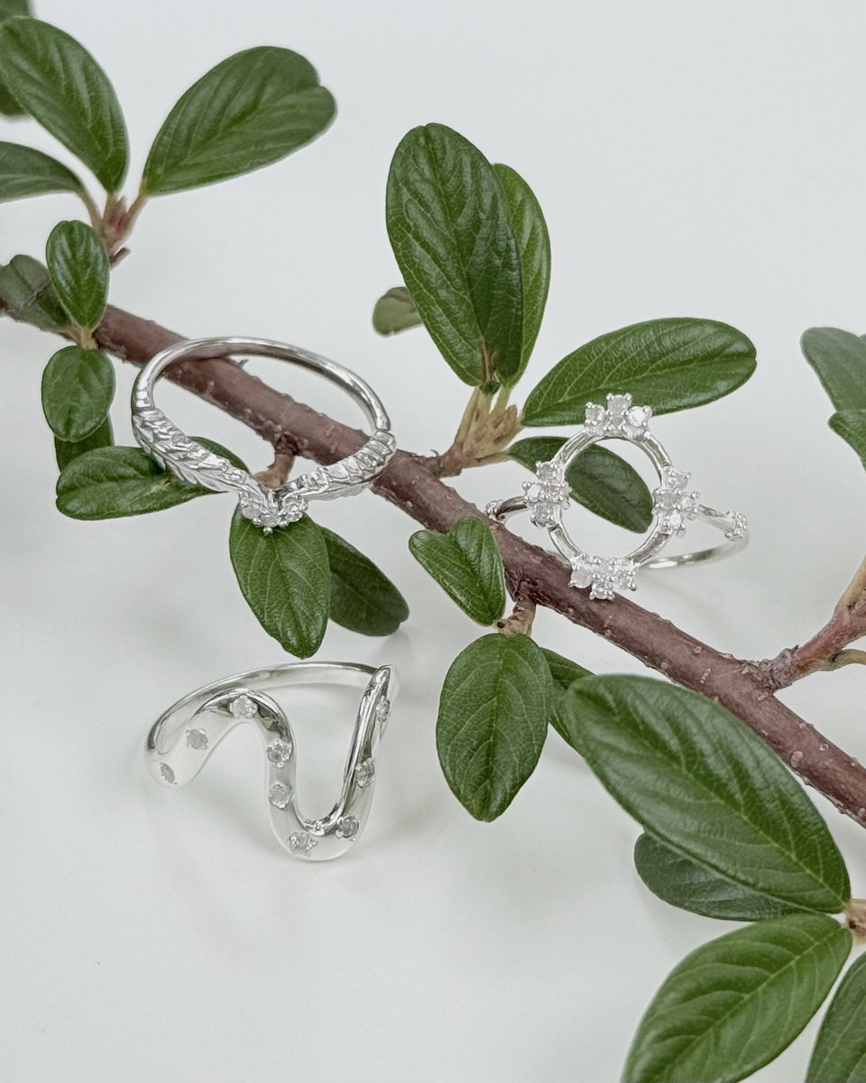 bijumampoco's tweet photo. new 💎 silver925 diamond ring https://t.co/EXQyOpEnVq