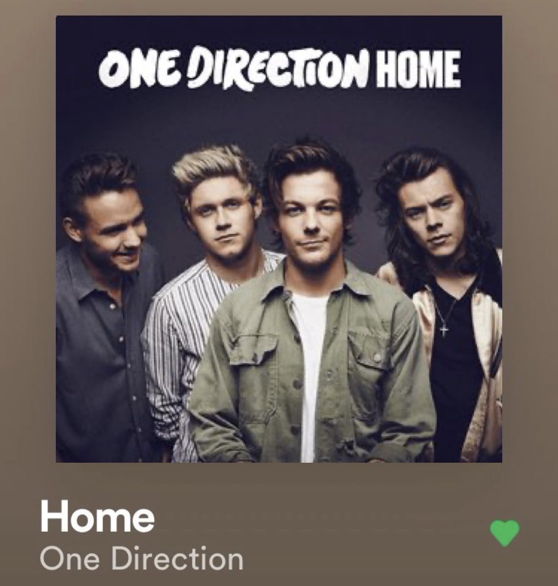 aleestyles91's tweet photo. let’s never stop talking about how Home was supposedly accidentally leaked right after a One Direction concert got cancelled https://t.co/MhDO1SuHtC
