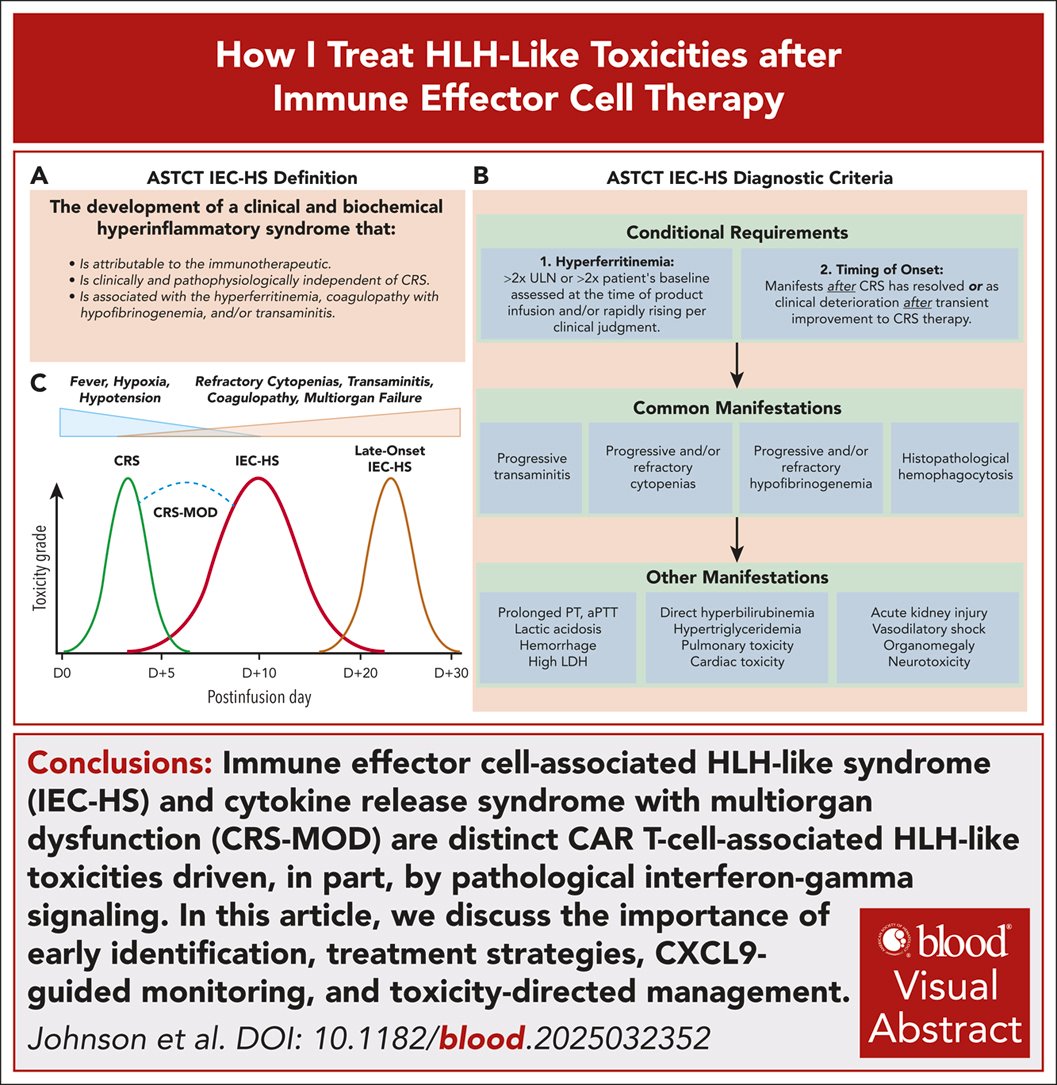 Transplant_Doc's tweet photo. Nonmyeloablative conditioning (Flu-TBI) +  anti-CD117 antibody briquilimab in older adults with high-risk AML and MDS. N=32, median age: 70, 1-year OS 75% in both AML and MDS #bmtsm @LoriMuffly  https://t.co/zh8TrWa1Xp https://t.co/X1Vff7HT5s