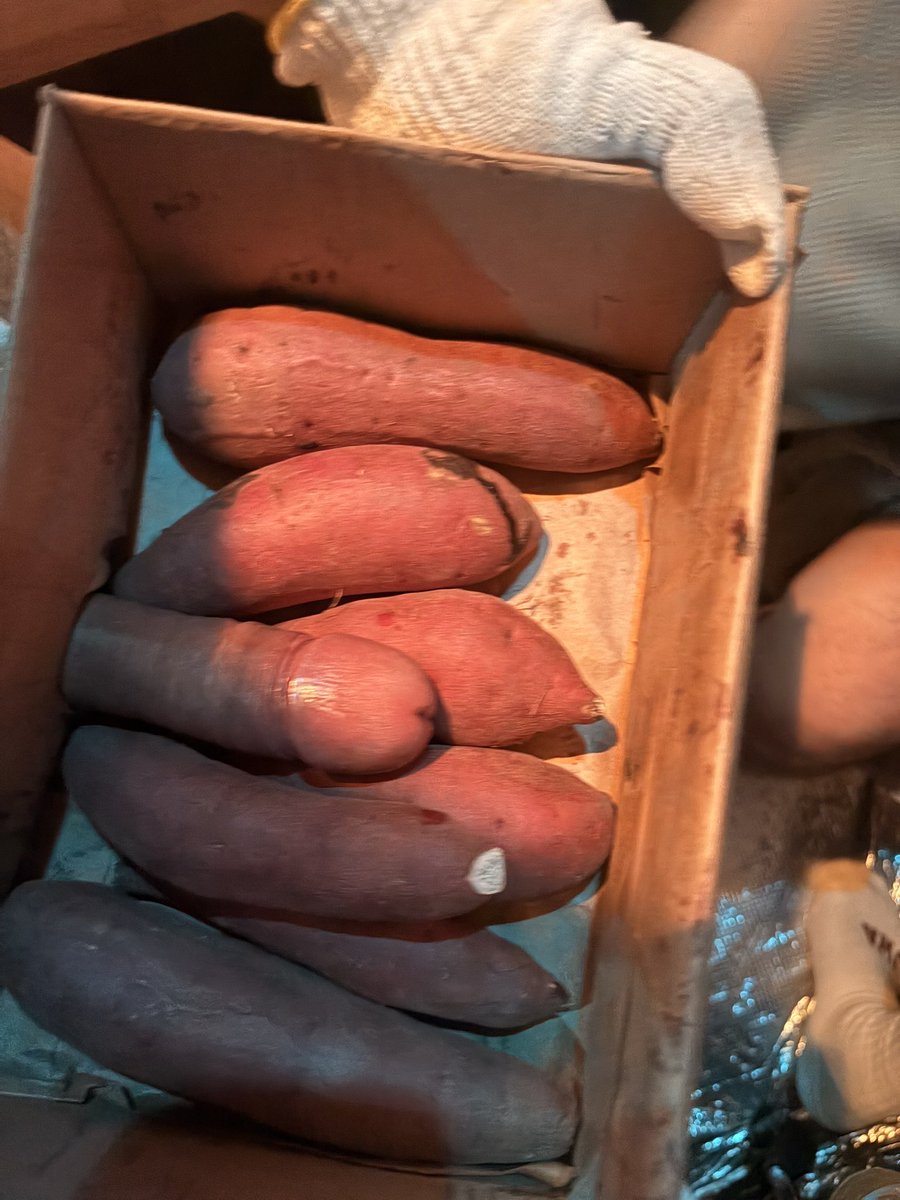 m_pitsu's tweet photo. 29금? 나 유부남이라 우리끼리 일 봤고 줄 수 있는건 요정도? https://t.co/LSft5JsmpU