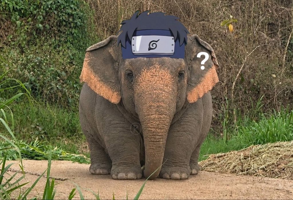 shisui tweet media