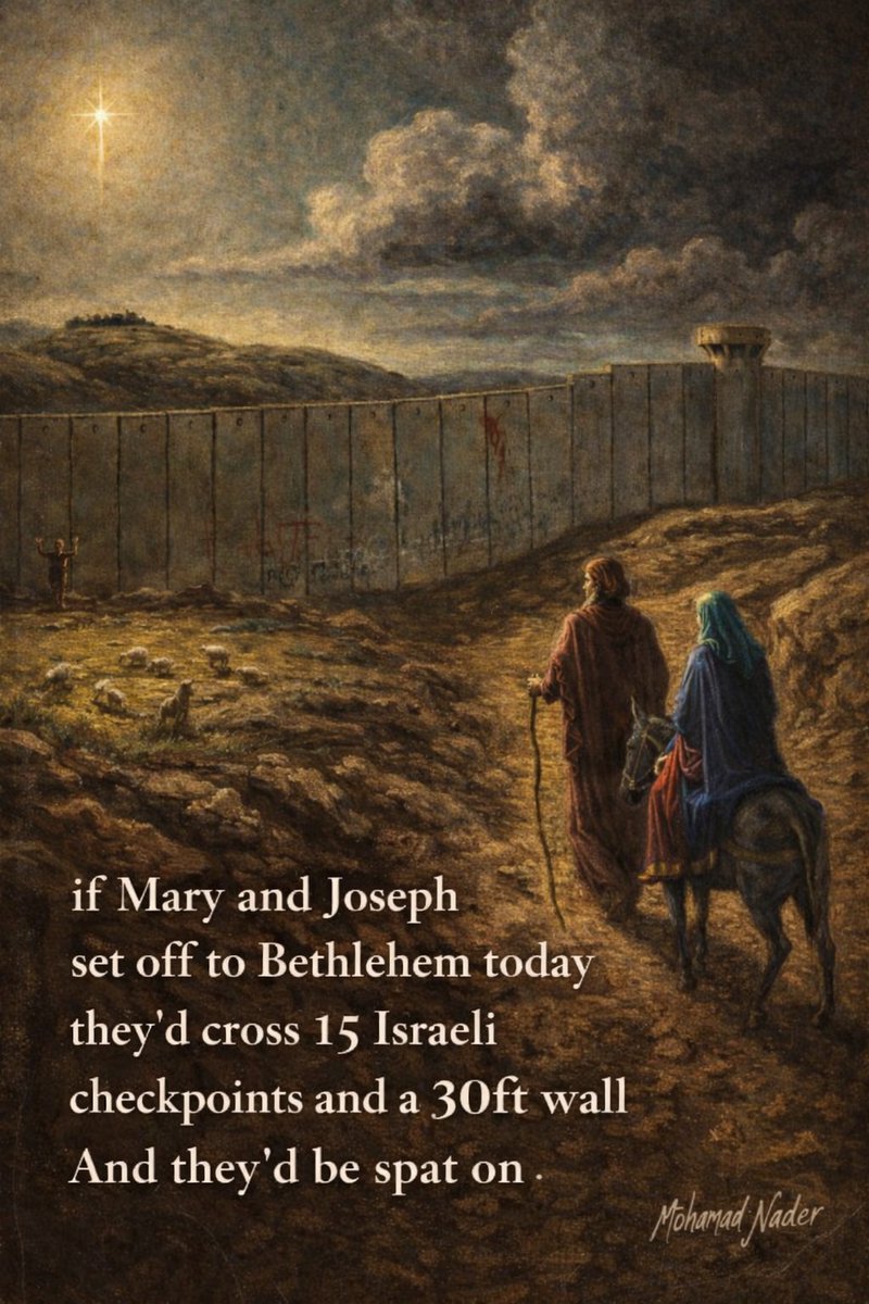 ☀️🇵🇸MOHAMAD NADER🇵🇸 ☀️ tweet media
