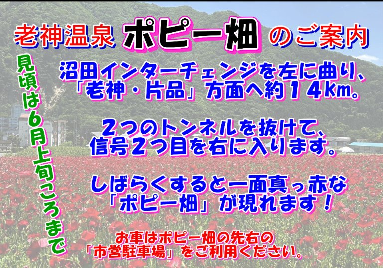 oigamijyaou's tweet photo. 🐍今日5月29日（金）の #上毛新聞 に #ポピー畑 の掲載があったニョロ〜🎵
それに伴い行き方のお問い合わせが増えてるので、簡単に案内するニョロね✨
詳しくは👇️を見てニョロ〜❤️
見頃は6月上旬頃まで続くニョロよ〜🐍
#老神温泉
#じゃおう君 https://t.co/8tQ8Dse2Xm