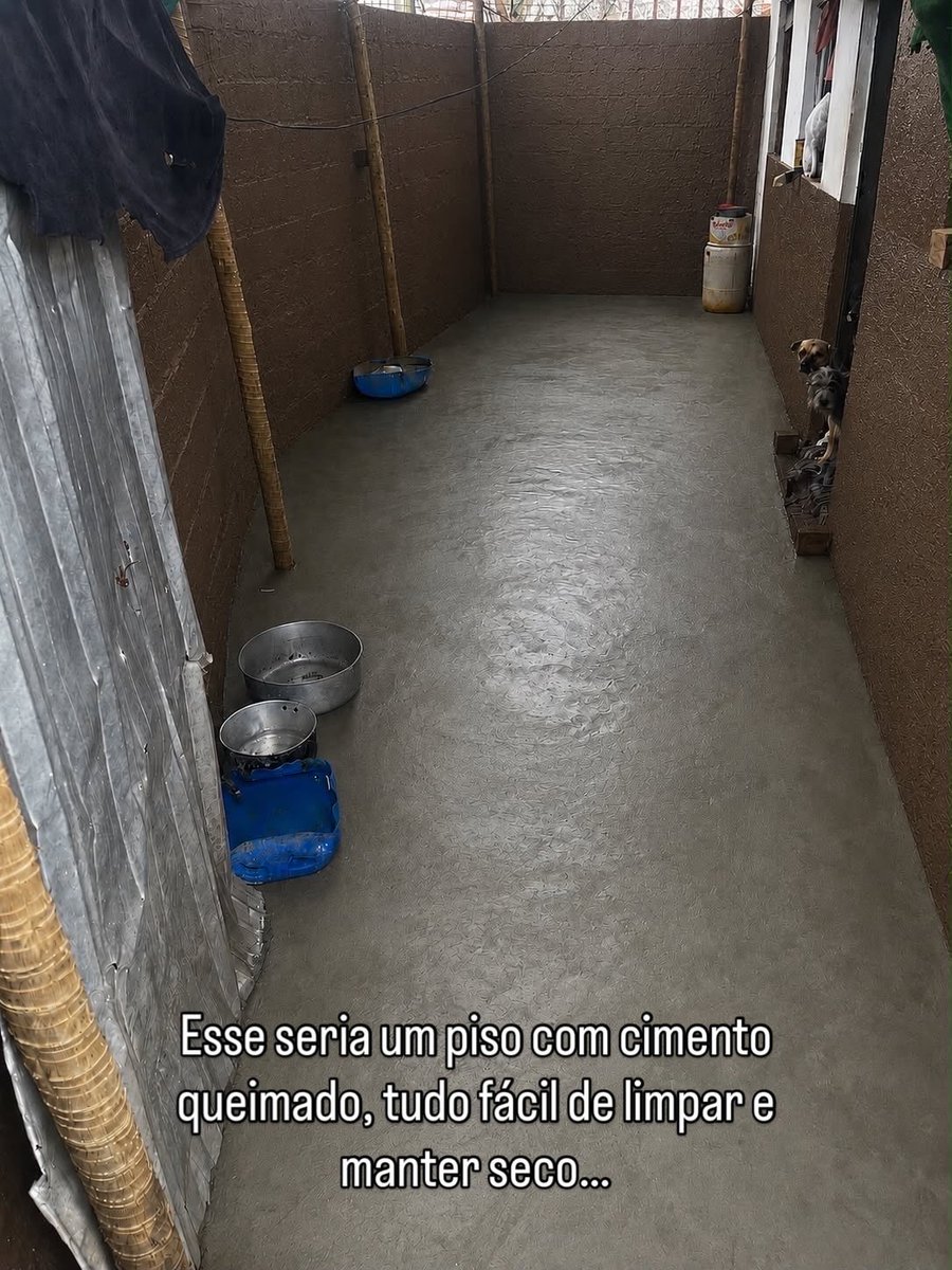 🏠Lar Dos Au-Au🐾🐶90 Cãezinhos tweet media