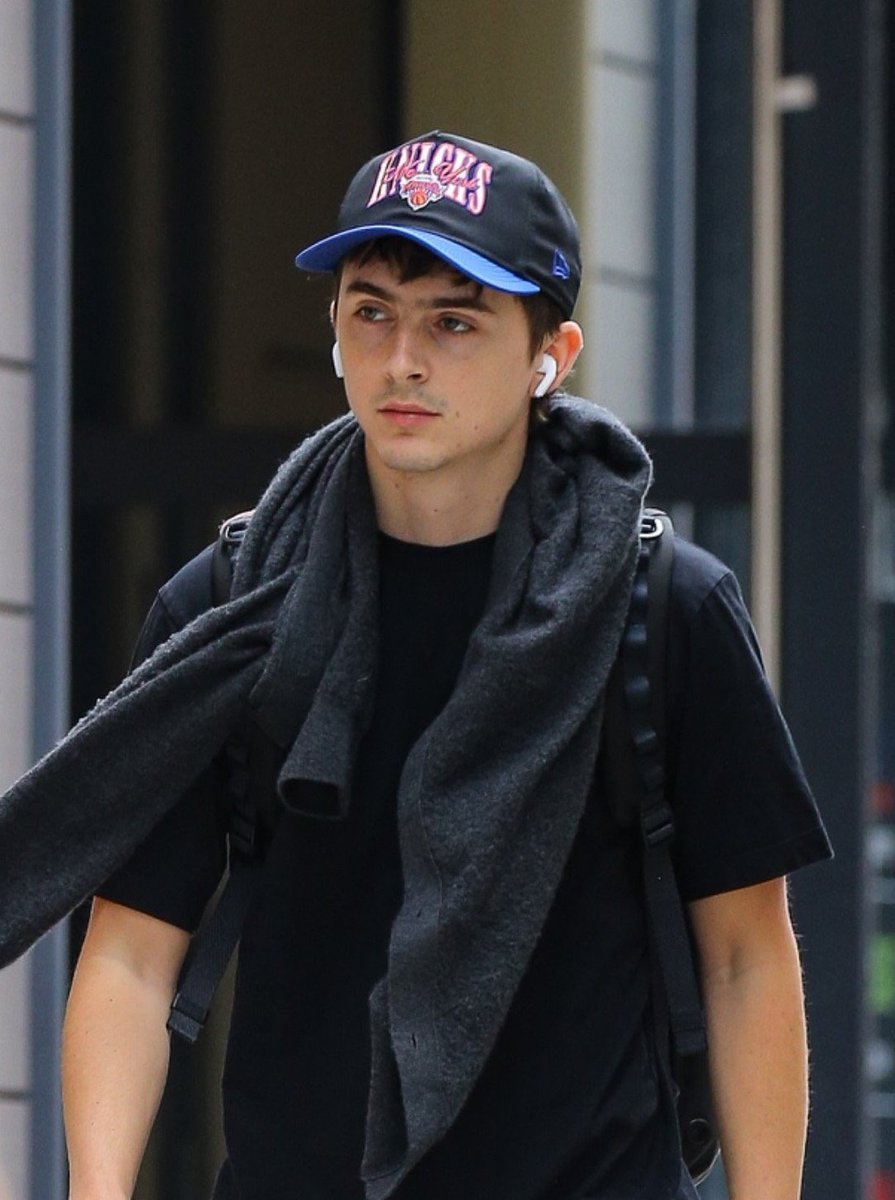 timothée chalamet's impregnator tweet media