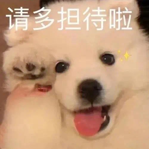 恋胸小狗🐾 tweet media