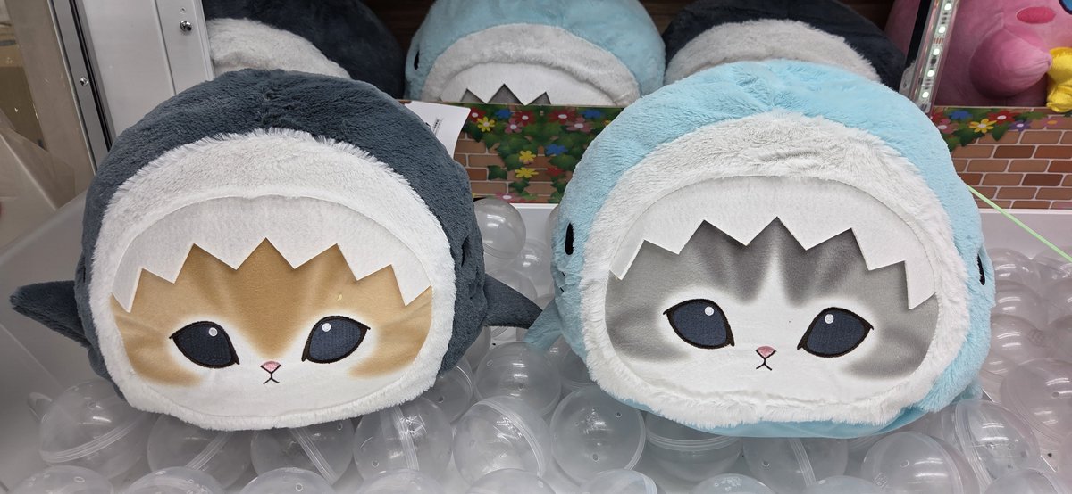mofusand プレミアムドームクッション “サメにゃん”』入荷しました